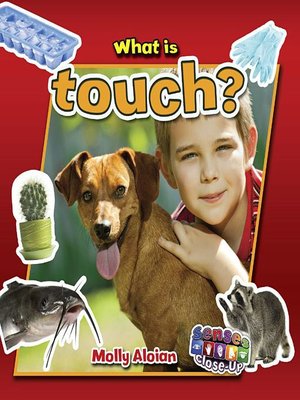 cover image of What is touch?